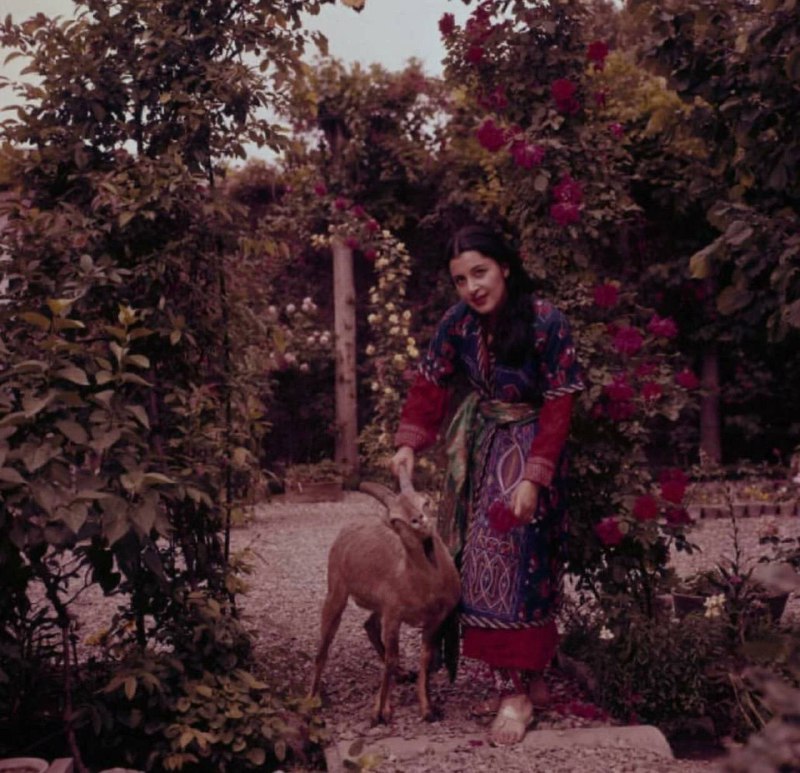 20世纪60年代伊朗的生活Jack Garofalo20世纪60年代伊朗的生活Jack Garofalo