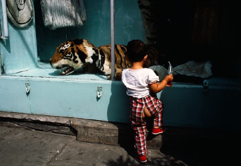 🖼 1984，北京1984，北京摄影师Thomas Hoepker🖼 1984，北京1984，北京摄影师Thomas Hoepker