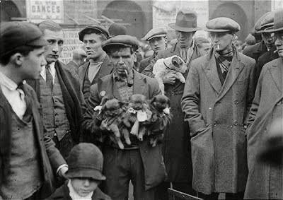 🖼 狗市狗市英格蘭1932