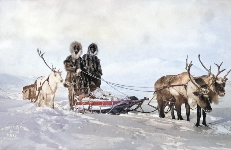 驯鹿拉的雪橇， 1914年