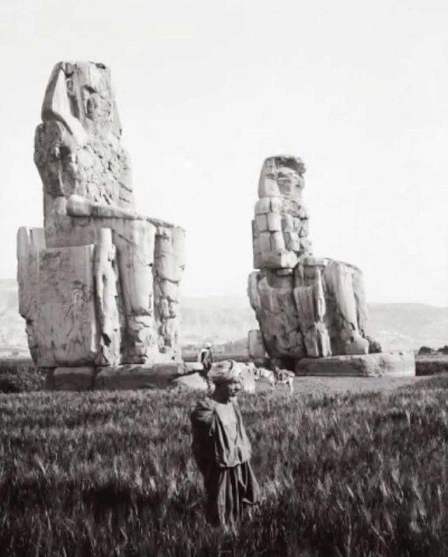 1905年埃及，田野里的巨大石雕像