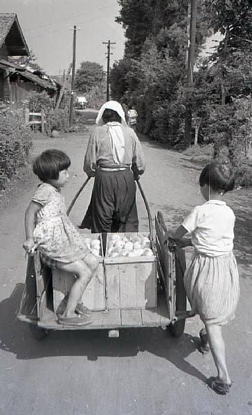 直到20世纪60年代中期（即昭和三十年代），在台湾的街头巷尾，随处可见这种两轮手推车（日语称リヤカー，台湾话谐音为 “力阿卡”）