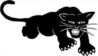 黑豹党（英语：Black Panther Party，缩写为BPP）是美国历史上的一个由非裔美国人组成的黑人民族主义和共产主义政党