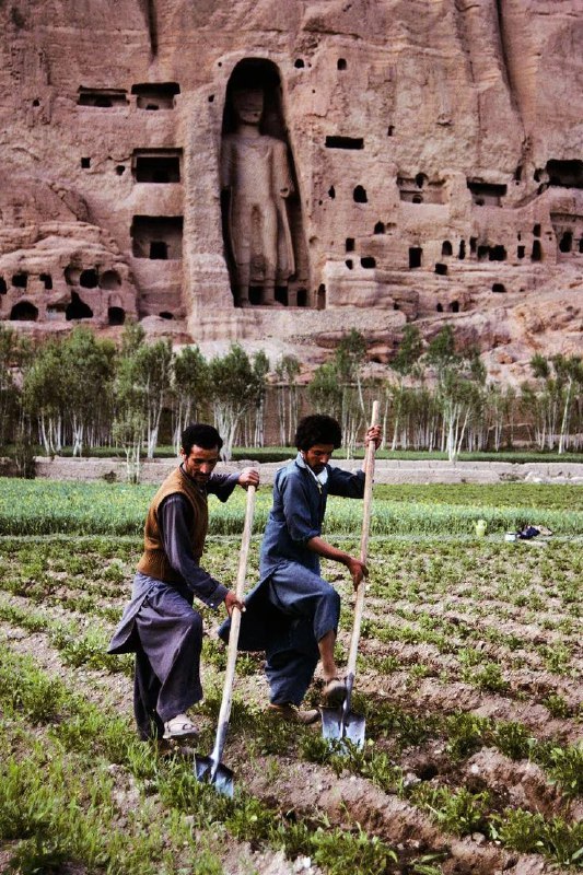 1992年，阿富汗巴米扬山谷的两名当地农民在田里劳作