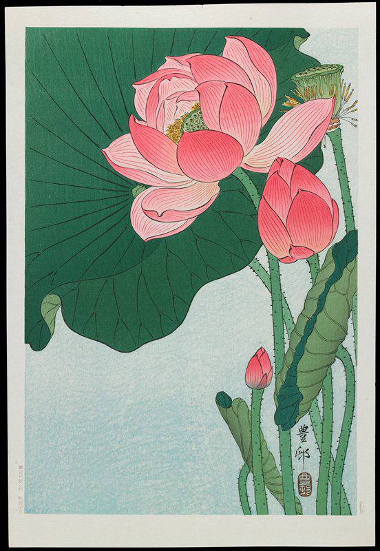 #艺术品 《莲花》（Lotus）是日本艺术家**小原古邨（Ohara Koson）**在约1928至1930年间创作的浮世绘木版画作品