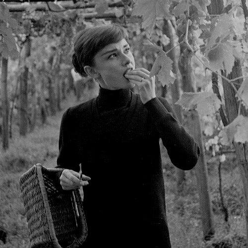 #中文 奥黛丽·赫本吃葡萄（1955年#中文 奥黛丽·赫本吃葡萄（1955年