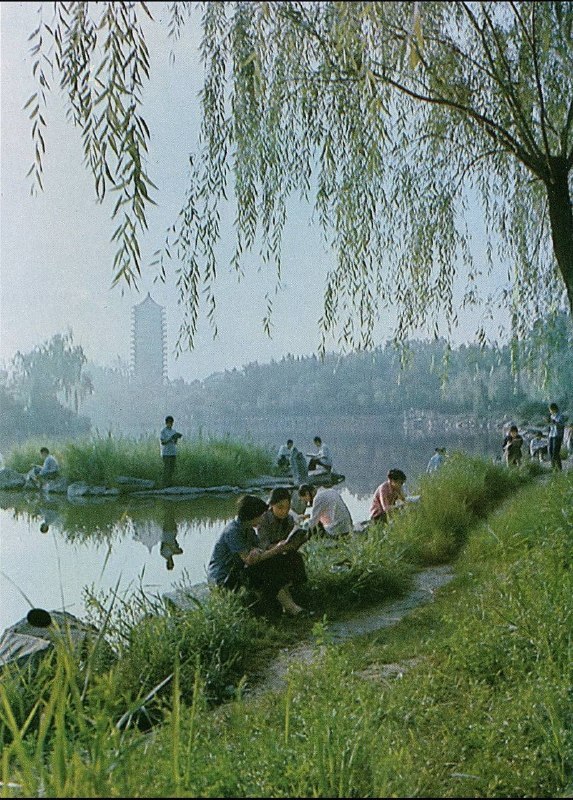 中国 北京大学，1980年代