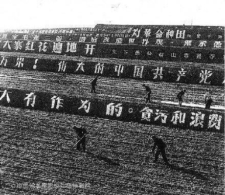 1965年，愚公故里济源县王屋山的梯田，一排又一排的标语作者：王世龙