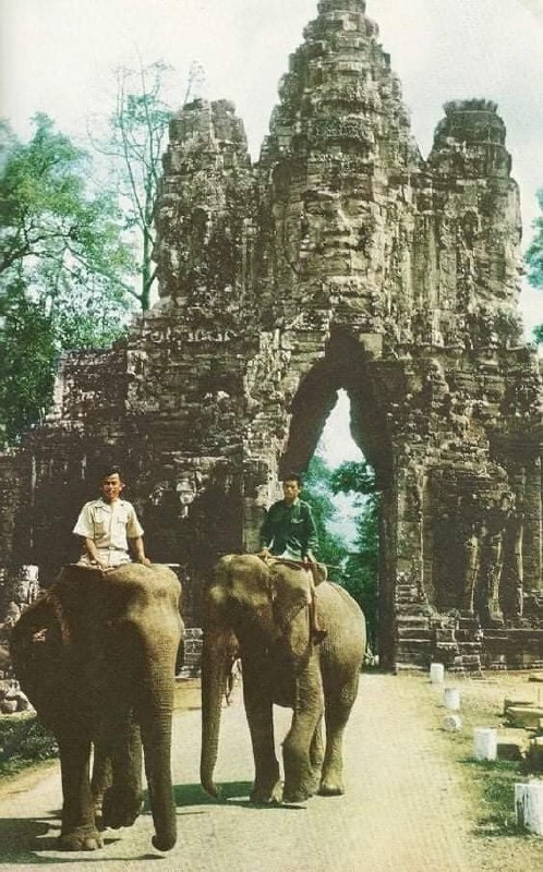 1960年柬埔寨1960年柬埔寨