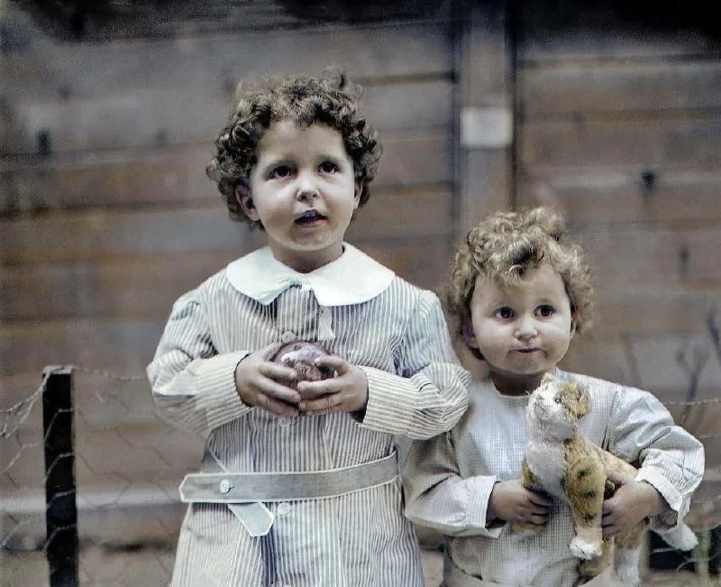 ↩️🖼 泰坦尼克号孤 儿，米歇尔和埃德蒙·纳夫拉蒂尔兄弟，1912 年