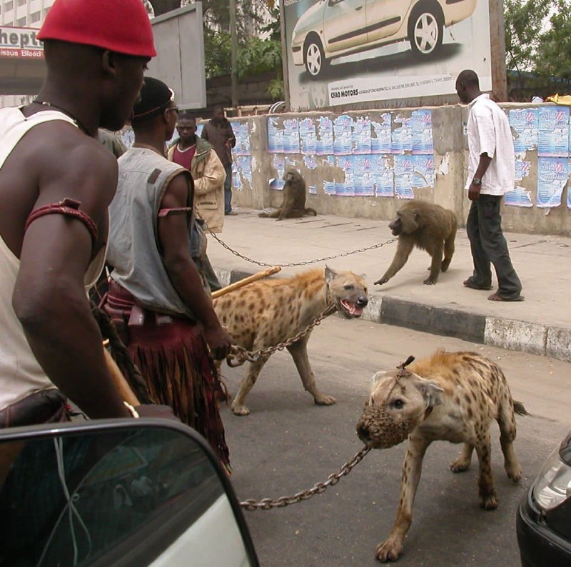 2000年代，尼日利亚 拉各斯，街头牵着宠物的尼日利亚人