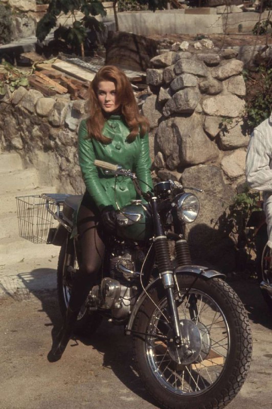 #名人 1960年代，安·玛格丽特骑着 Triumph 摩托车她是瑞典裔美国演员、歌手和舞者，在1960年代，她因出演电影如《Viva Las Vegas》（与猫王合作）而走红，是当时的时尚与青春偶像