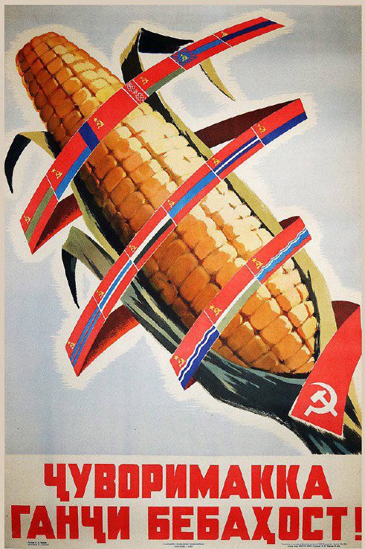 #海报 玉米是無價之寶！1963