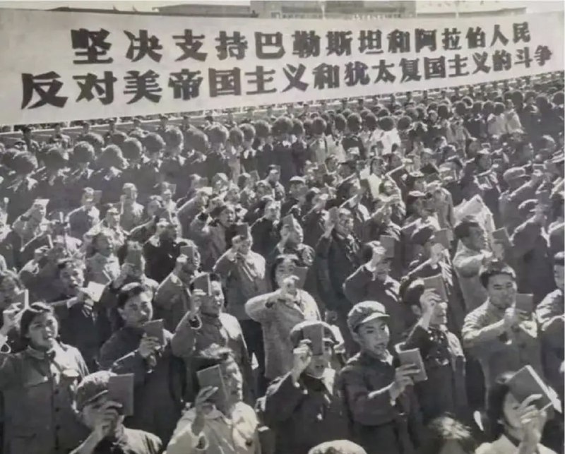 1969年中国支持巴勒斯坦的抗议活动