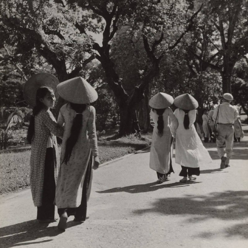 摄影师 Jan Cifra（1929—1959）在20世纪50年代拍摄的一组照片，记录了当时 越南 乡村朴素、宁静的生活景象