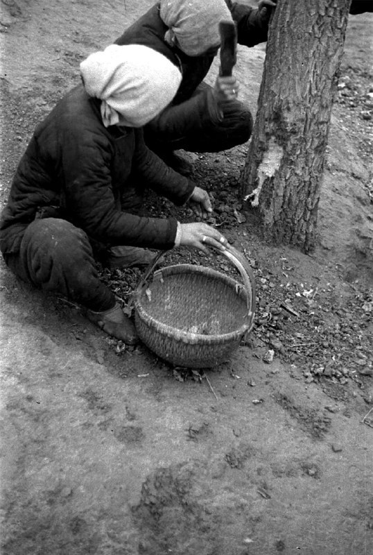1942年，德国摄影师福尔曼（John Phillips）在中国拍摄了河南大饥荒的真实画面