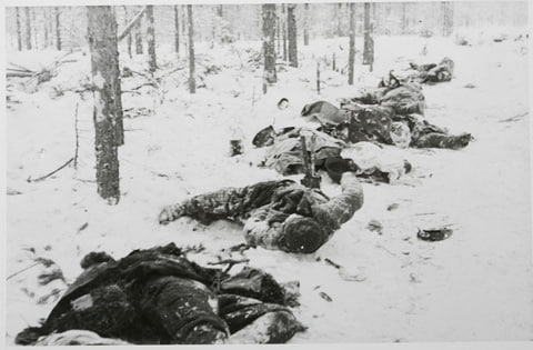 1939-45 年针对苏联的冬季战争和继续战争中，在芬兰阵亡的苏联士兵