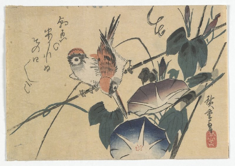 #艺术品 《日本江户时代的麻雀和牵牛花》，歌川宏重，19世纪30年代后期（彩色木版画）