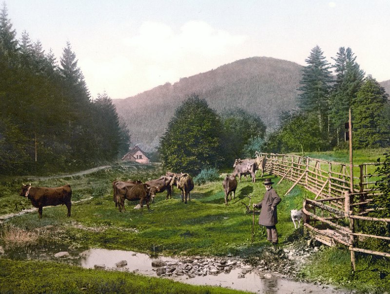 德意志帝国，哈茨山脉的某个地方