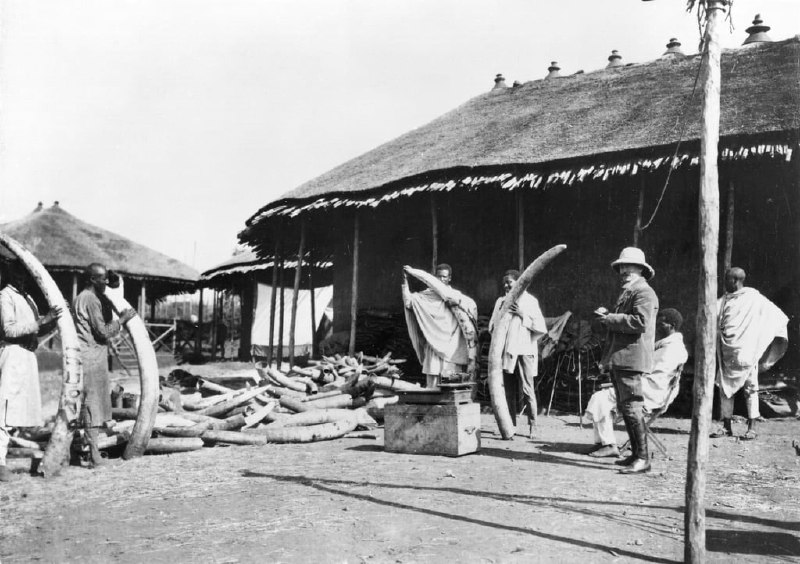 埃塞俄比亚亚的斯亚贝巴的象牙仓库，1900年代