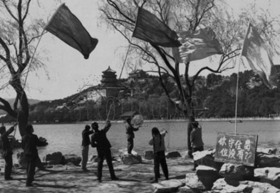 图为1958年4月，北京石油学院学生投入到万寿山的的捕雀「战斗」