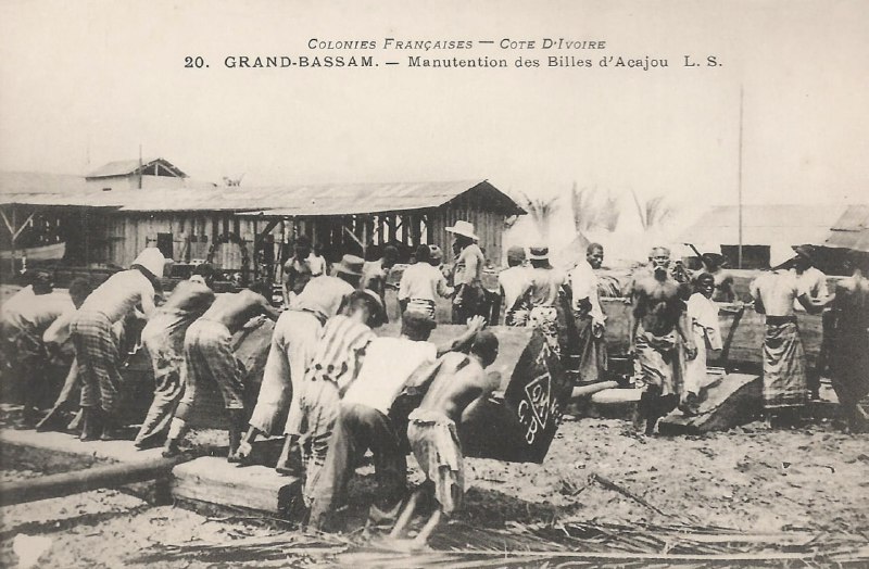 大约1905年，法国殖民地，象牙海岸共和国(现科特迪瓦)大巴萨姆城市，正在处理红木原木