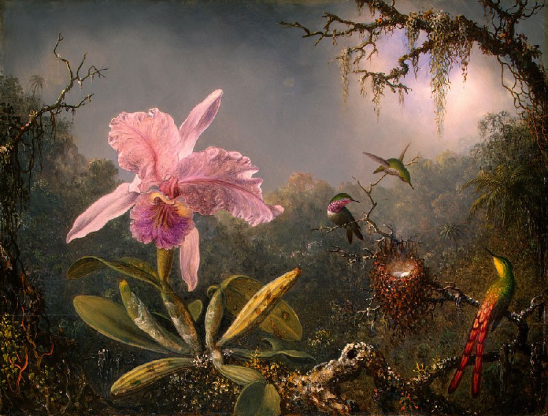 #艺术品 《卡特兰兰花与三只蜂鸟》（Cattleya Orchid and Three Hummingbirds）是马丁·约翰逊·海德（Martin Johnson Heade）在1982年被国家美术馆收购的一幅油画红木面板画