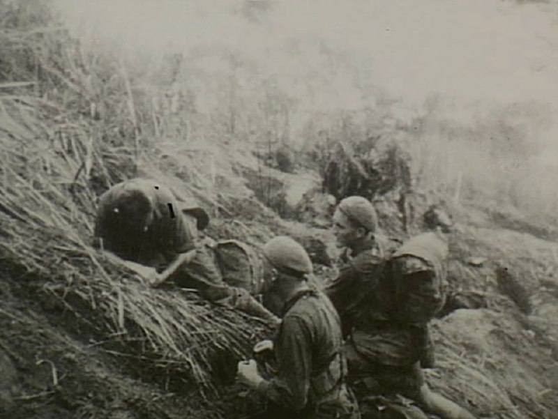 1943 年 7 月 29 日，一名澳大利亚士兵在 Bobdubi 山脊上被日本机枪扫射受伤