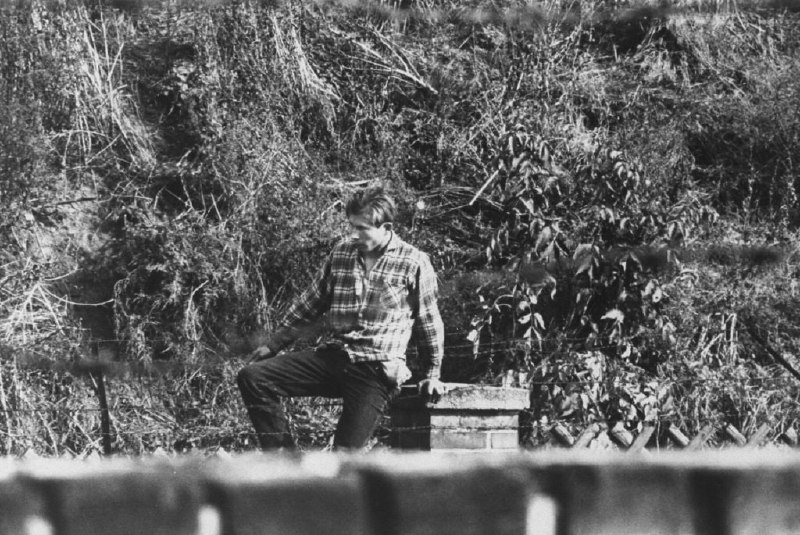一名东德少年躲在高高的草丛中，等待跳过柏林墙的机会