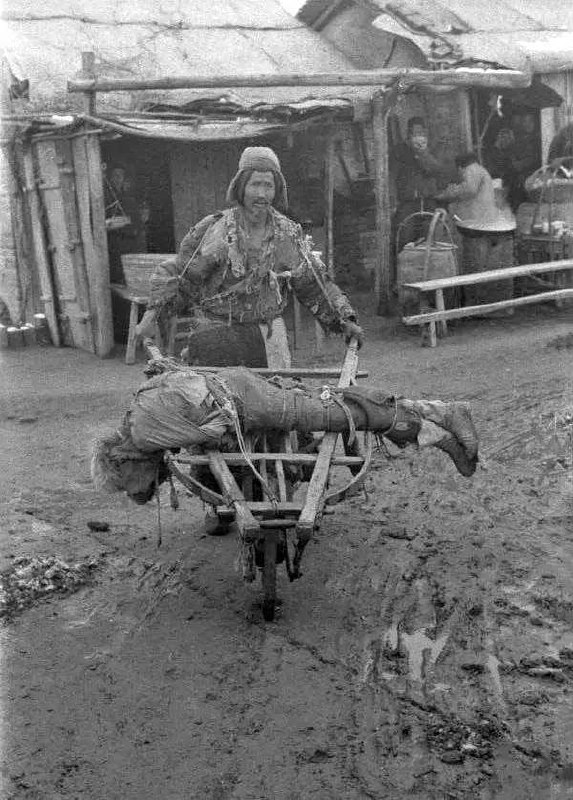 1942年，美国《时代》周刊记者白修德来到饥荒中的中国，他拍摄下了被民众吃光的树皮和准备去埋葬死去的亲人