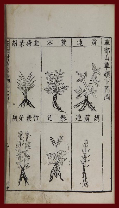 本草綱目 : 五十二卷, 附圖二卷.#中医《本草纲目》是16世纪以前中国传统医药的系统百科全书