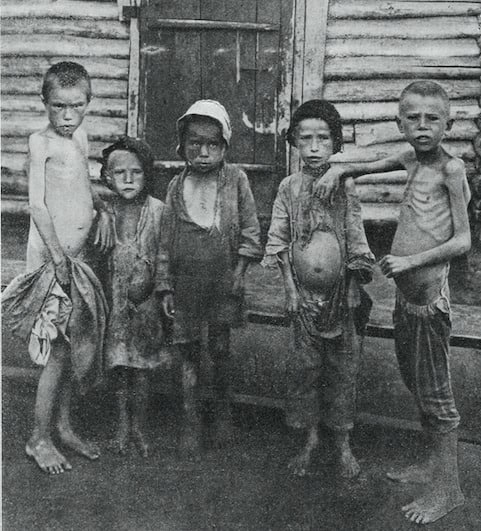 1932-1933，乌克兰大饥荒