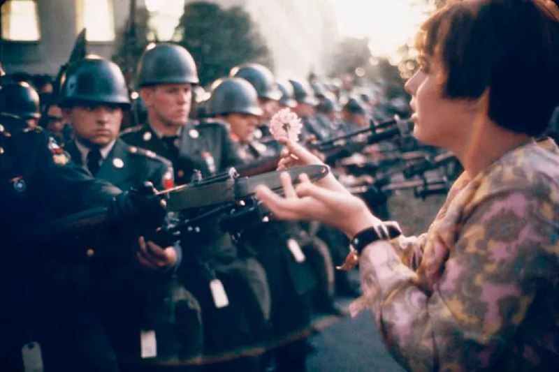 1967 年，在一次反越战集会上，高中生简·罗斯·卡斯米尔 (Jan Rose Kasmir) 年仅 17 岁，她手握菊花，凝视着挥舞着刺刀的士兵