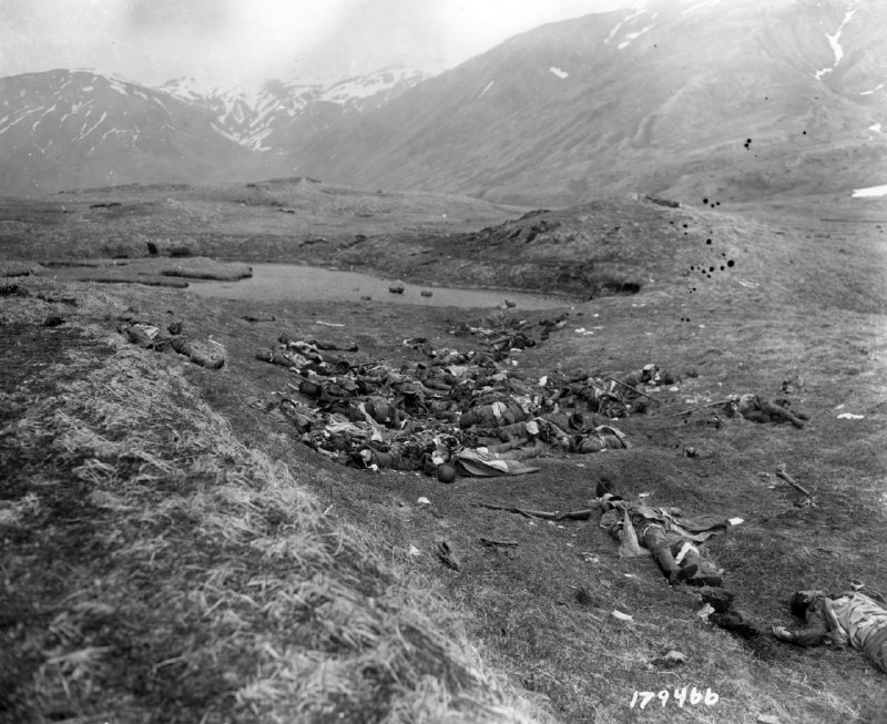 阿图岛（Attu Island）是阿留申群岛中的一个岛屿，位于美国阿拉斯加州西南部