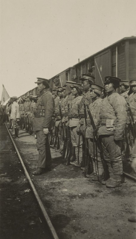 1917年的奉天军，奉天军由当时的奉天省主席段祺瑞组织成立，旨在保卫奉天省的安全和稳定，以及维护清朝政府的统治